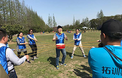 Team development